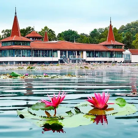 Tavirozsa 1a 아파트